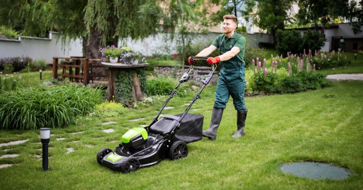 Gardener shares simple 3-step method to get ‘perfect’ lawn this summer Gardener shares simple 3-step method to get ‘perfect’ lawn this summer