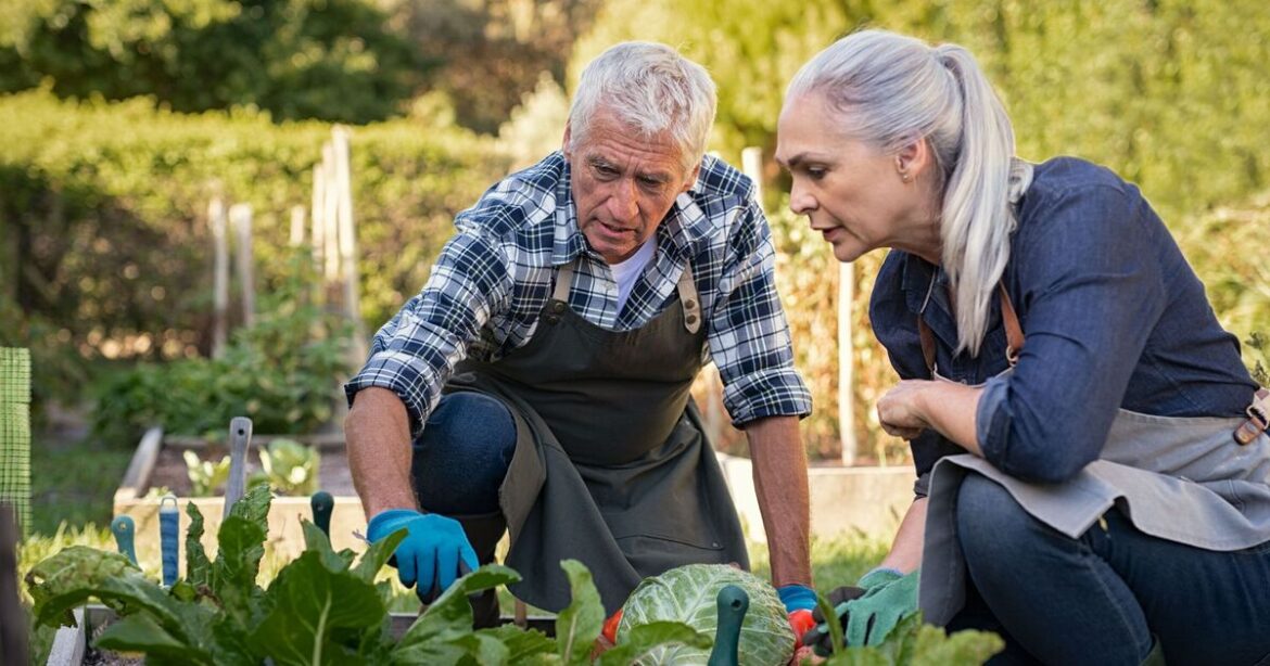 Gardeners urged to scatter one very surprising item in their gardens this spring Gardeners urged to scatter one very surprising item in their gardens this spring