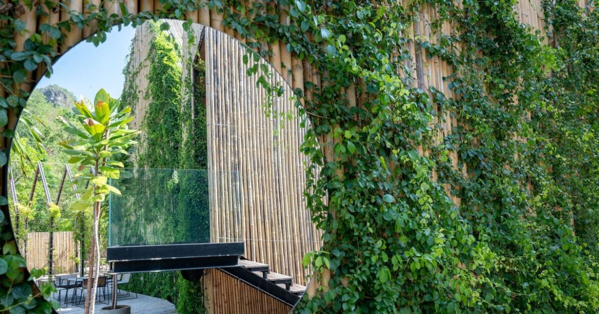 UK households urged to put mirrors in gardens