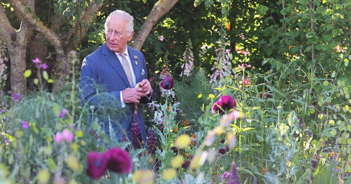Last minute Chelsea Flower show tickets are still available Last minute Chelsea Flower show tickets are still available