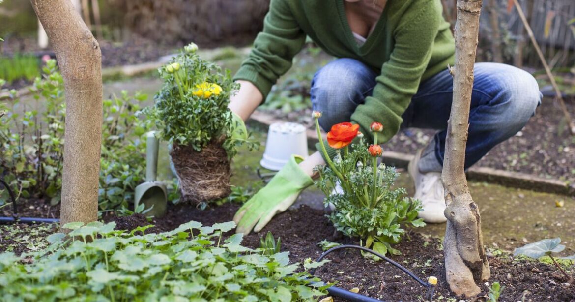 Gardeners urged to complete three easy tasks in May Gardeners urged to complete three easy tasks in May