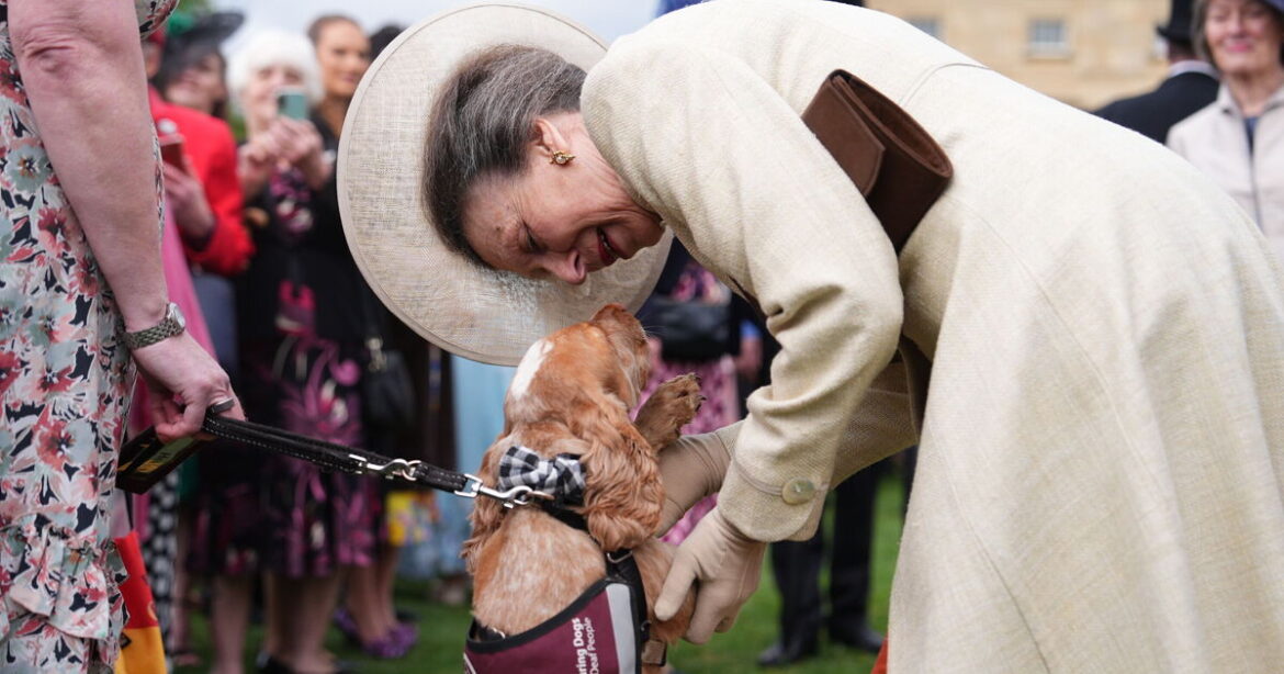 Unexpected guest steals the show at Buckingham Palace garden party | Royal | News Unexpected guest steals the show at Buckingham Palace garden party | Royal | News
