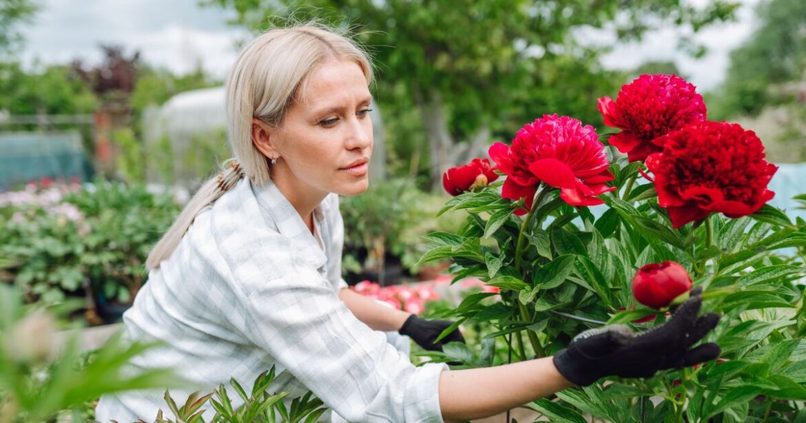 Banish hay fever-causing plants from your garden this spring Banish hay fever-causing plants from your garden this spring
