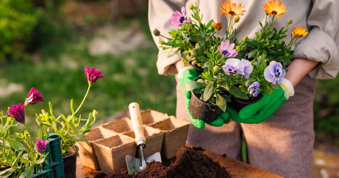 Gardeners tol to ‘hold off longer’ as common mistake could be killing plants Gardeners tol to 'hold off longer' as common mistake could be killing plants