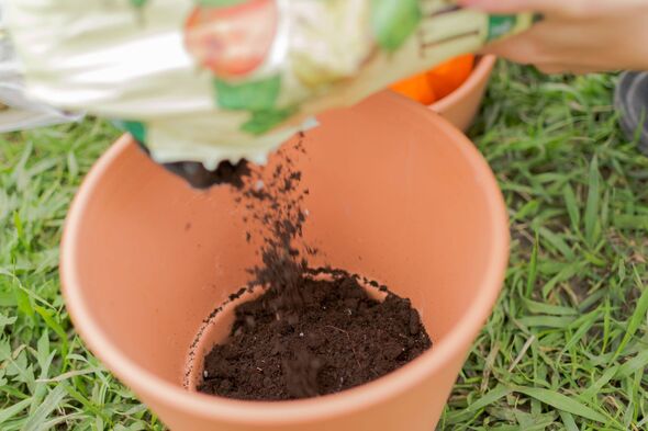 Plant Pot Compost Gardening Action Plant Pot Compost Gardening Action