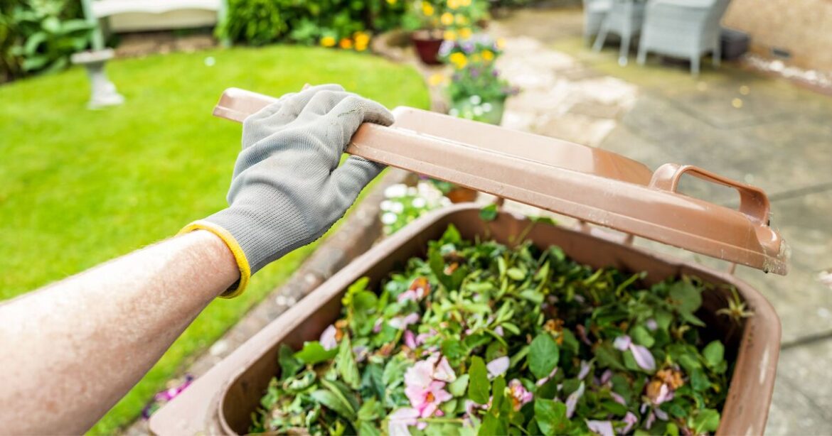 10 garden items you can no longer recycle as England gets new rules 10 garden items you can no longer recycle as England gets new rules