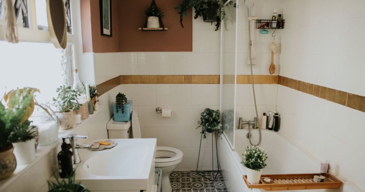 Houseplant expert shares four plants to keep bathrooms free from any mould
