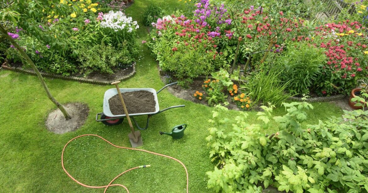 Gardeners urged to put nets in garden in May
