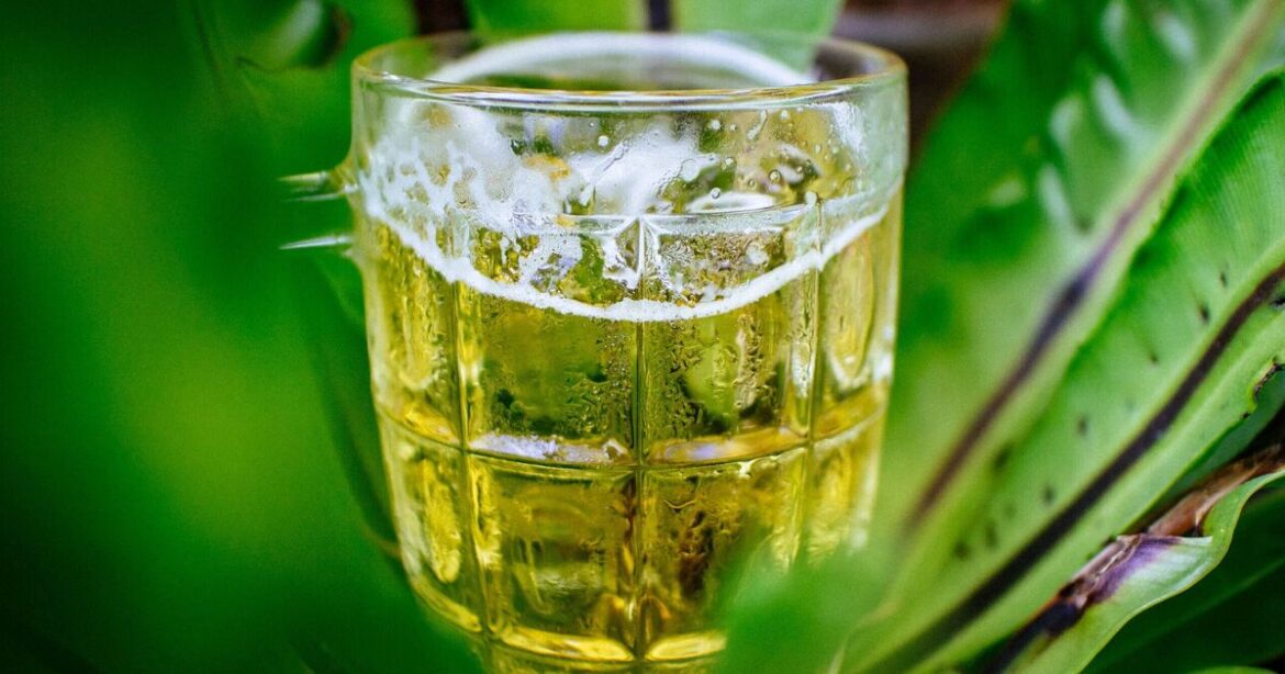 Gardeners urged to bury jars of beer in soil in May