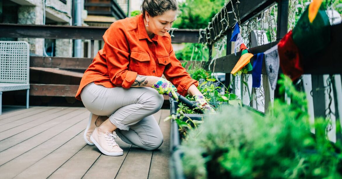 Gardeners warned to stop invasive plant spreading across the UK Gardeners warned to stop invasive plant spreading across the UK