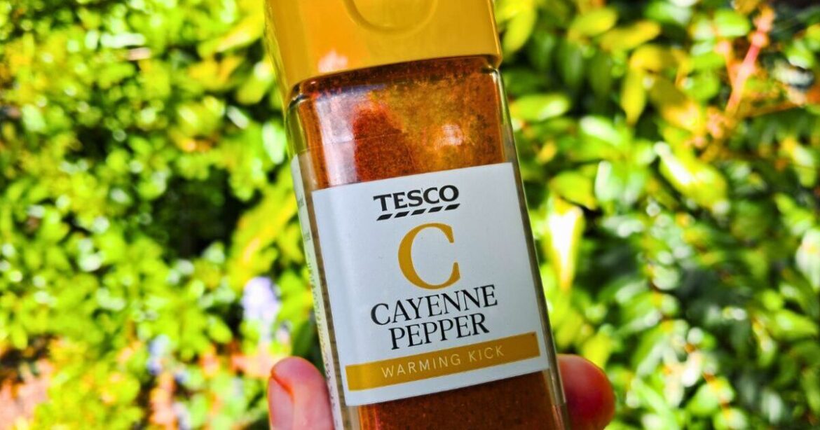 Gardeners are being urged to sprinkle cayenne pepper around gardens in May Gardeners are being urged to sprinkle cayenne pepper around gardens in May