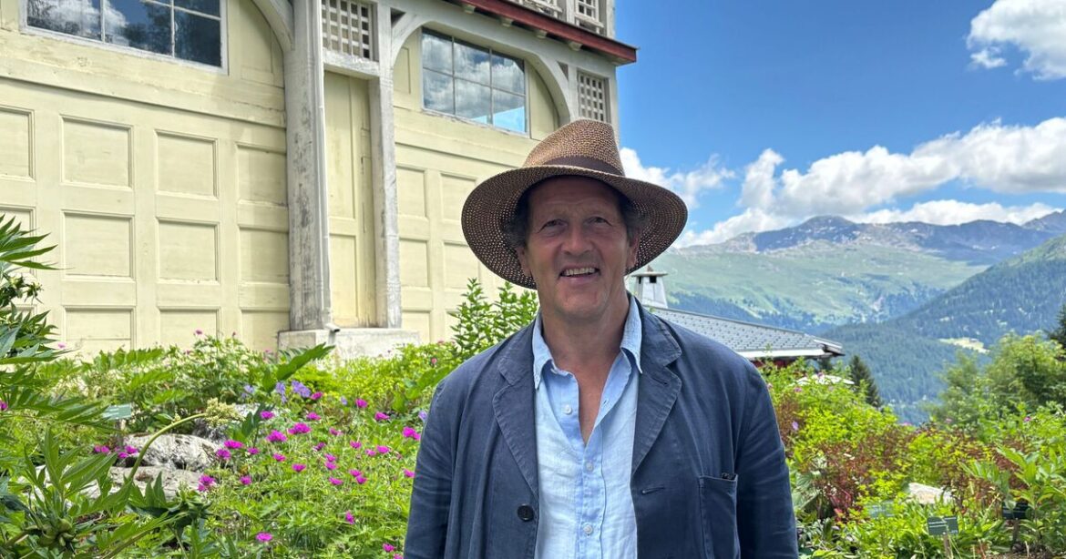 Monty Don names three plants you should add to garden now to attract bees
