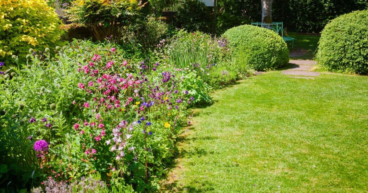 How to grow lush and vibrant lawns for summer
