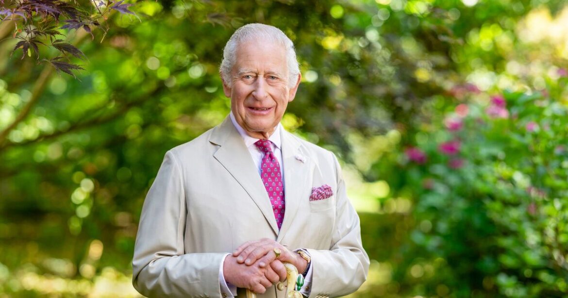 I supply delphiniums to King Charles – here’s how to get rid of slugs | UK | News I supply delphiniums to King Charles - here's how to get rid of slugs | UK | News