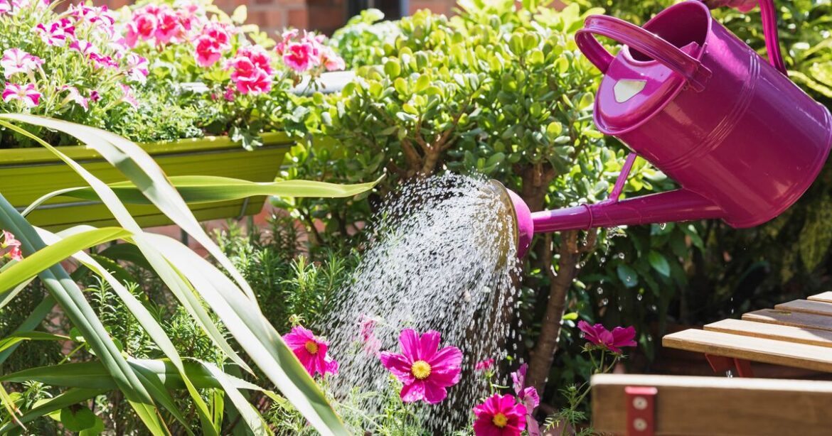 Alan Titchmarsh urges gardeners to avoid common container-watering mistake Alan Titchmarsh urges gardeners to avoid common container-watering mistake