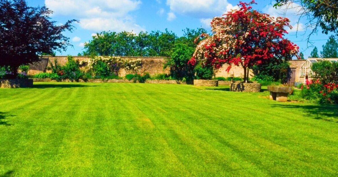 Grass will stay green and hydrated on hot days if gardeners do easy task Grass will stay green and hydrated on hot days if gardeners do easy task