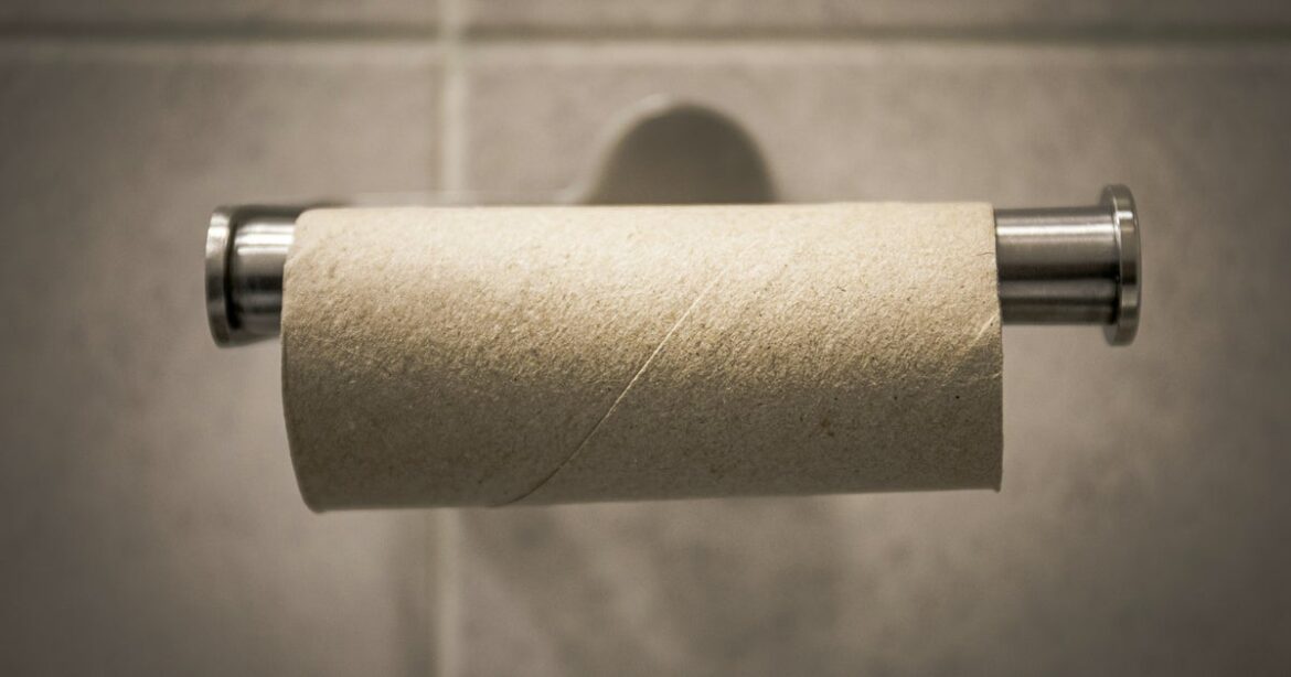 4 Ways To Use Empty Toilet Roll Tubes In Your Garden 4 Ways To Use Empty Toilet Roll Tubes In Your Garden