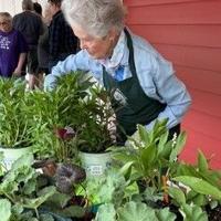 Garden Club of Manchester to host annual ‘All Things Gardening Sale’ May 16 | Community News Garden Club of Manchester to host annual 'All Things Gardening Sale' May 16 | Community News