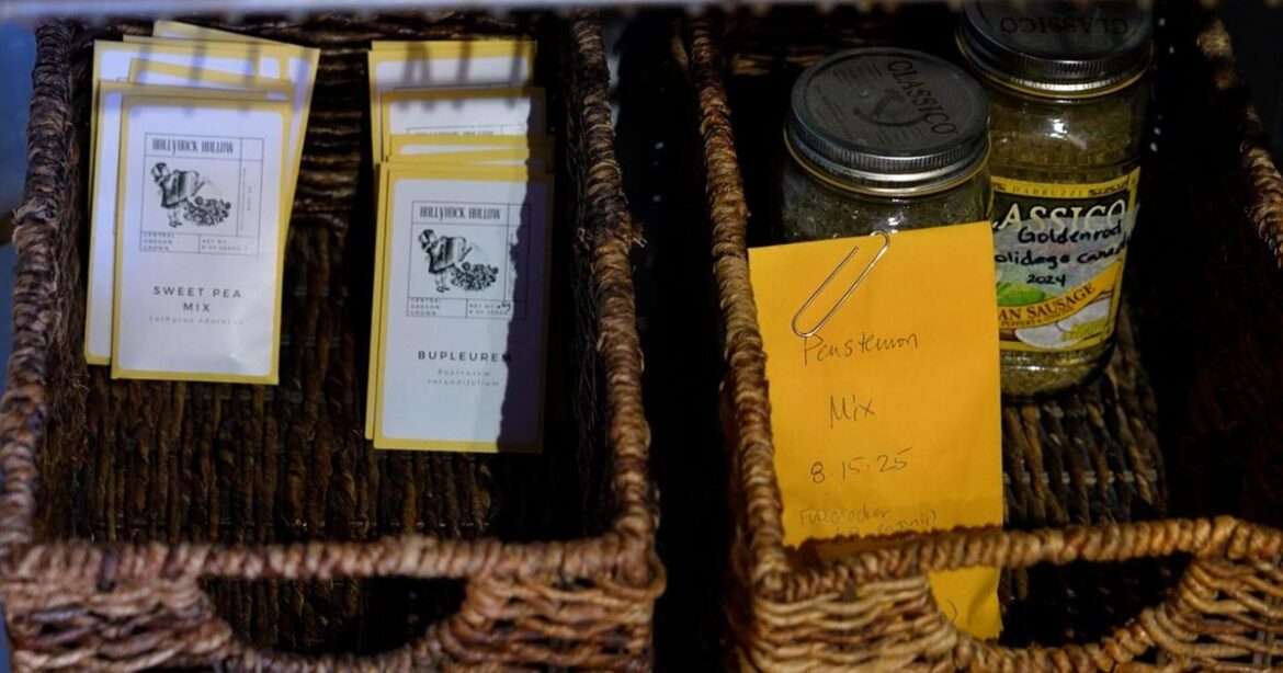 Worthy Garden Club opens second Bend seed library | Local News Worthy Garden Club opens second Bend seed library | Local News