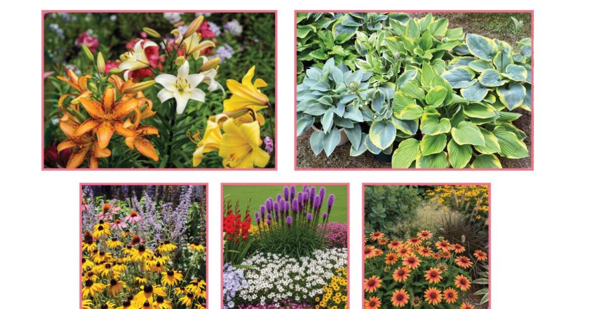 Bremer County Master Gardeners and Friends Plant and Garden Sale | Local Bremer County Master Gardeners and Friends Plant and Garden Sale | Local
