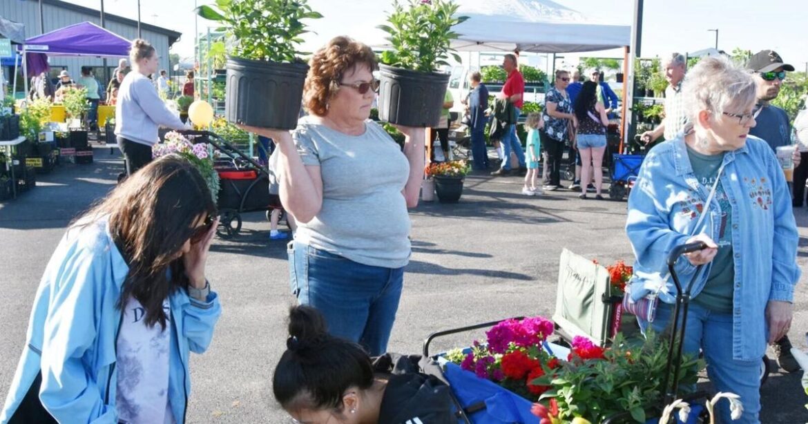 Annual master gardener plant fair returns with more to enjoy | The News Enterprise