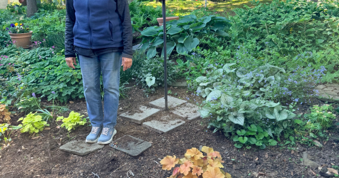 Here’s how an East Hempfield gardener turned shady, dry soil into a blooming backyard oasis | Home & Garden Here's how an East Hempfield gardener turned shady, dry soil into a blooming backyard oasis | Home & Garden