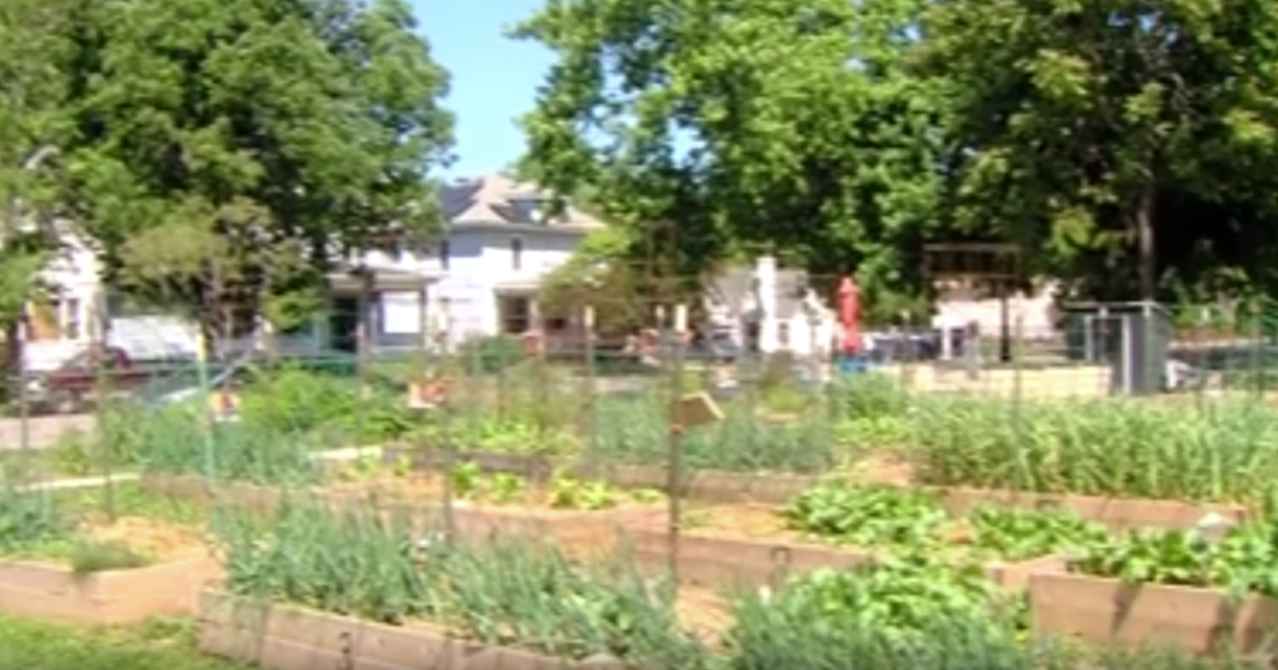 Enos Park Neighborhood Gardens celebrates 15th anniversary | Local News Enos Park Neighborhood Gardens celebrates 15th anniversary | Local News