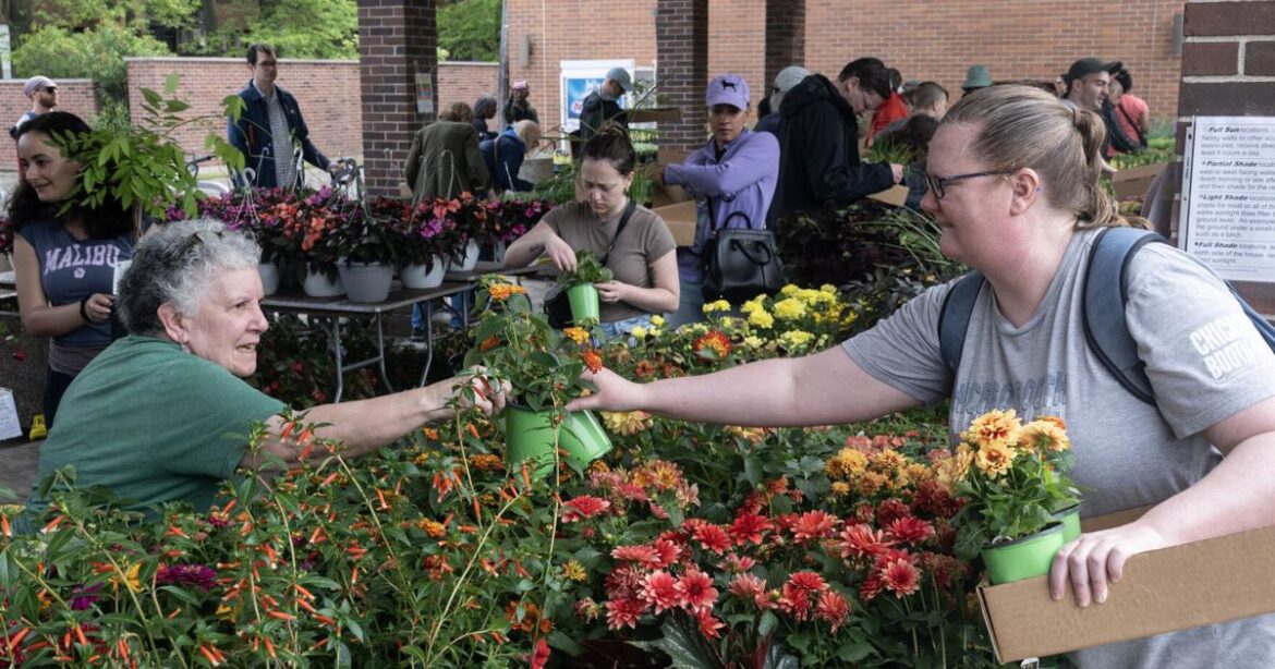Hyde Park Garden Fair flourishes in 66th year | Evening Digest Hyde Park Garden Fair flourishes in 66th year | Evening Digest
