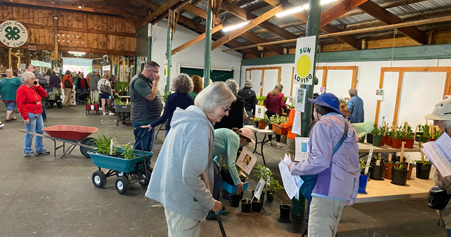Master Gardeners’ Plant Sale set for Saturday | News Master Gardeners' Plant Sale set for Saturday | News