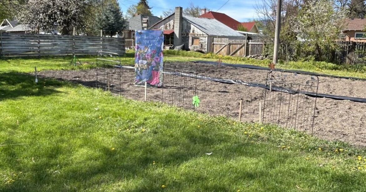Group launches community garden in Chewelah; fundraiser planned for May 13 | Announcements