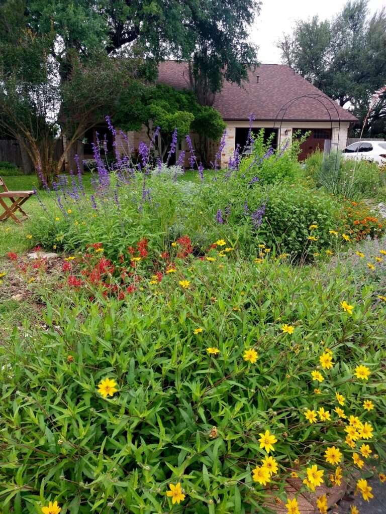 My front curb flowerbed, 4 years in