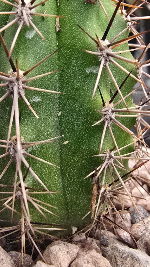 Are these good or bad?