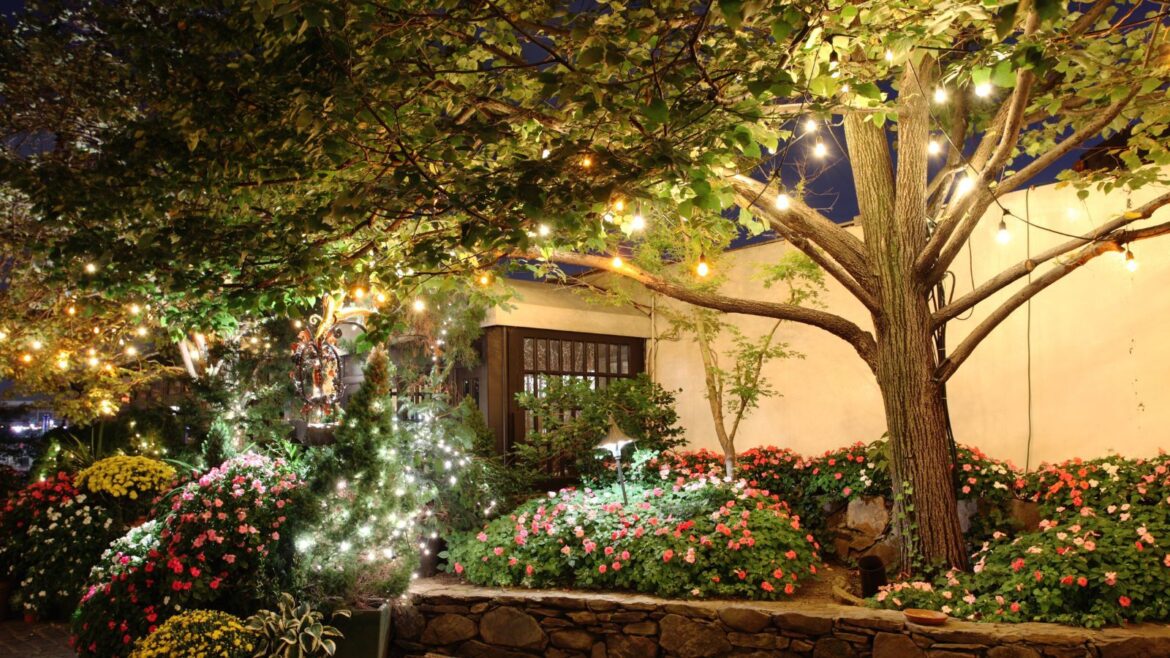 Lidl’s Solar Blossom Light is the Prettiest Garden Accessory Garden with flowers and large tree illuminated by string lights