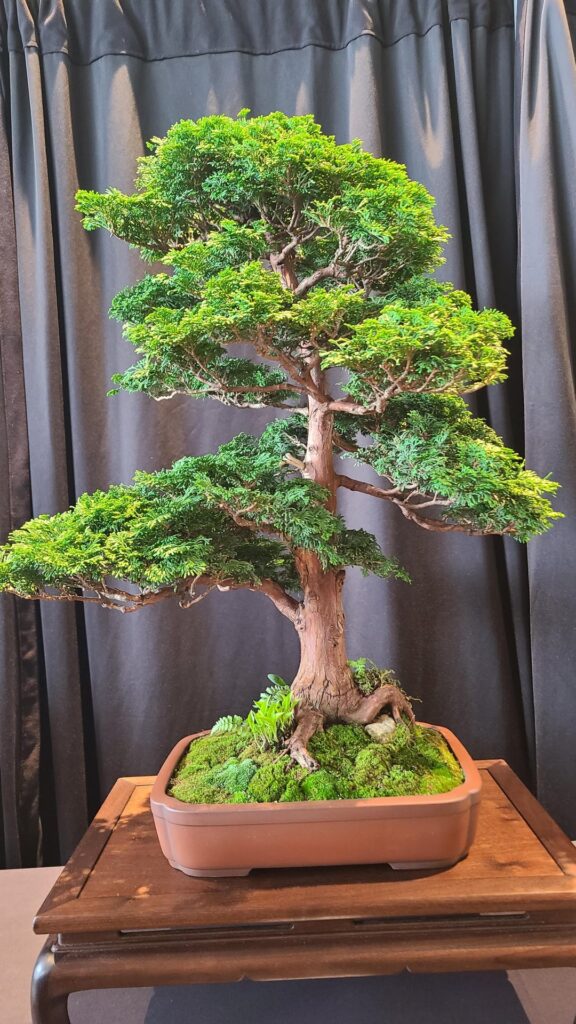 Michigan All State Bonsai Show