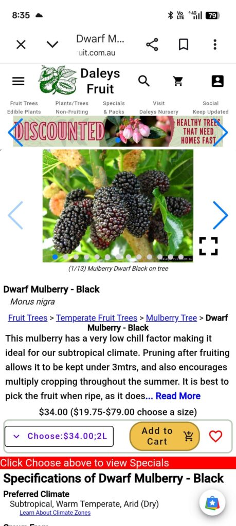 Help me choose which fruit trees to plant in Melbourne? Help me choose which fruit trees to plant in Melbourne?