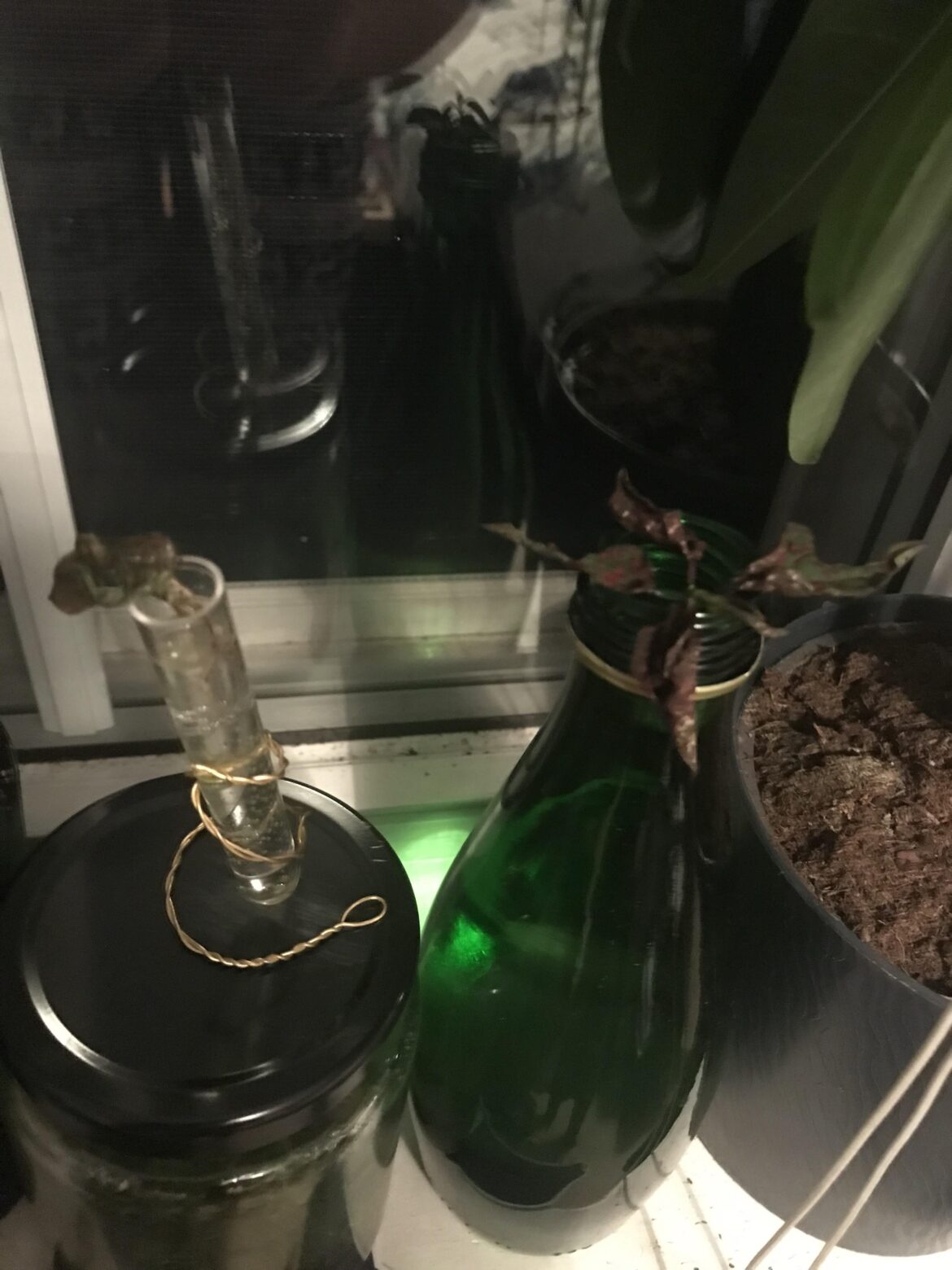 What the hell am I doing wrong??
