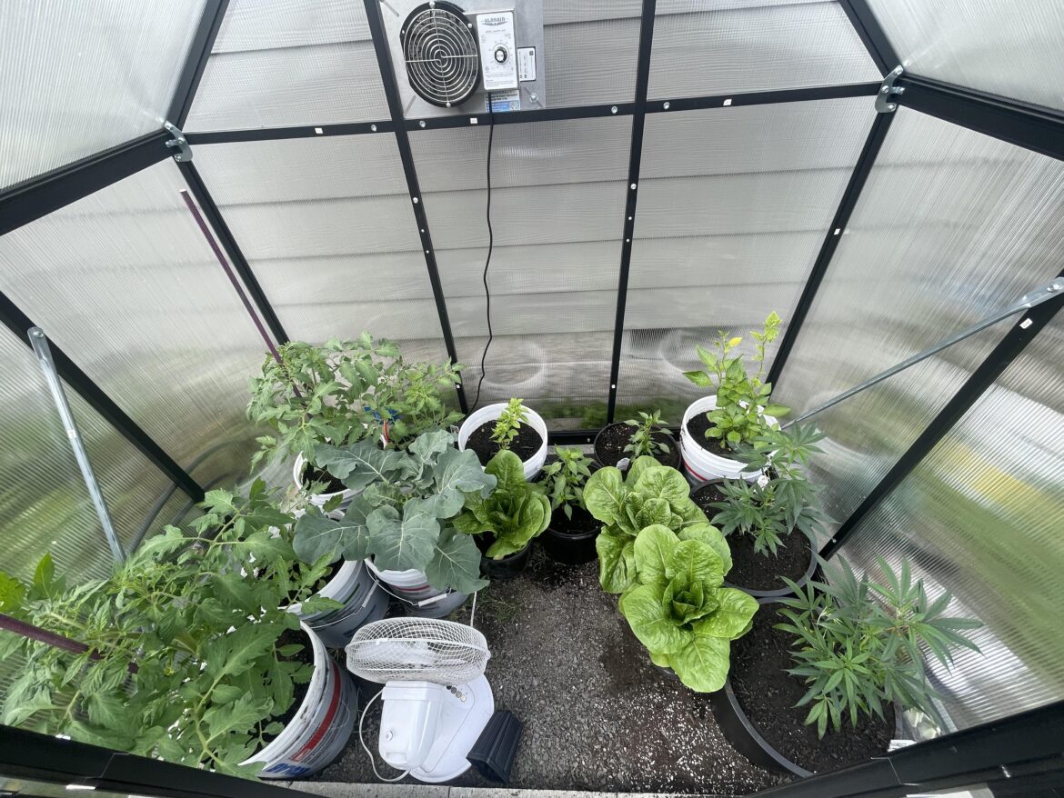 Greenhouse spacing advice?