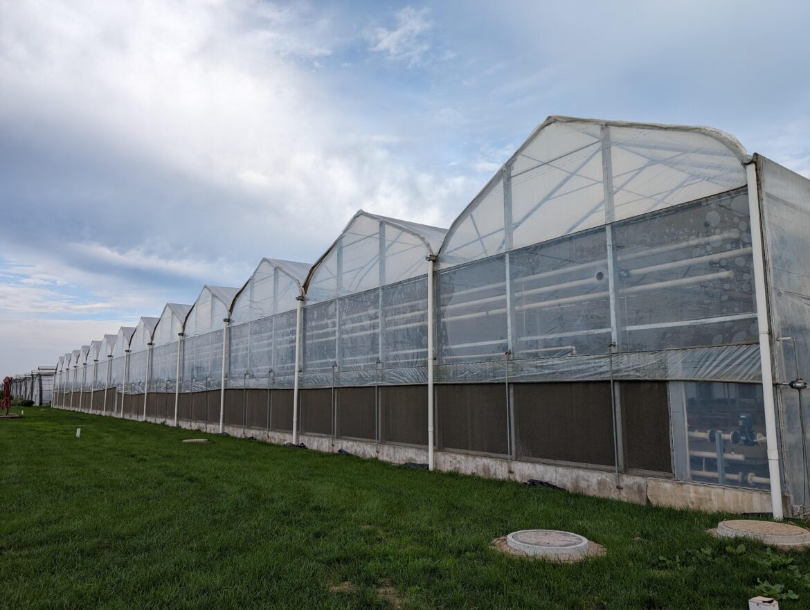 How to lower your greenhouse energy cost