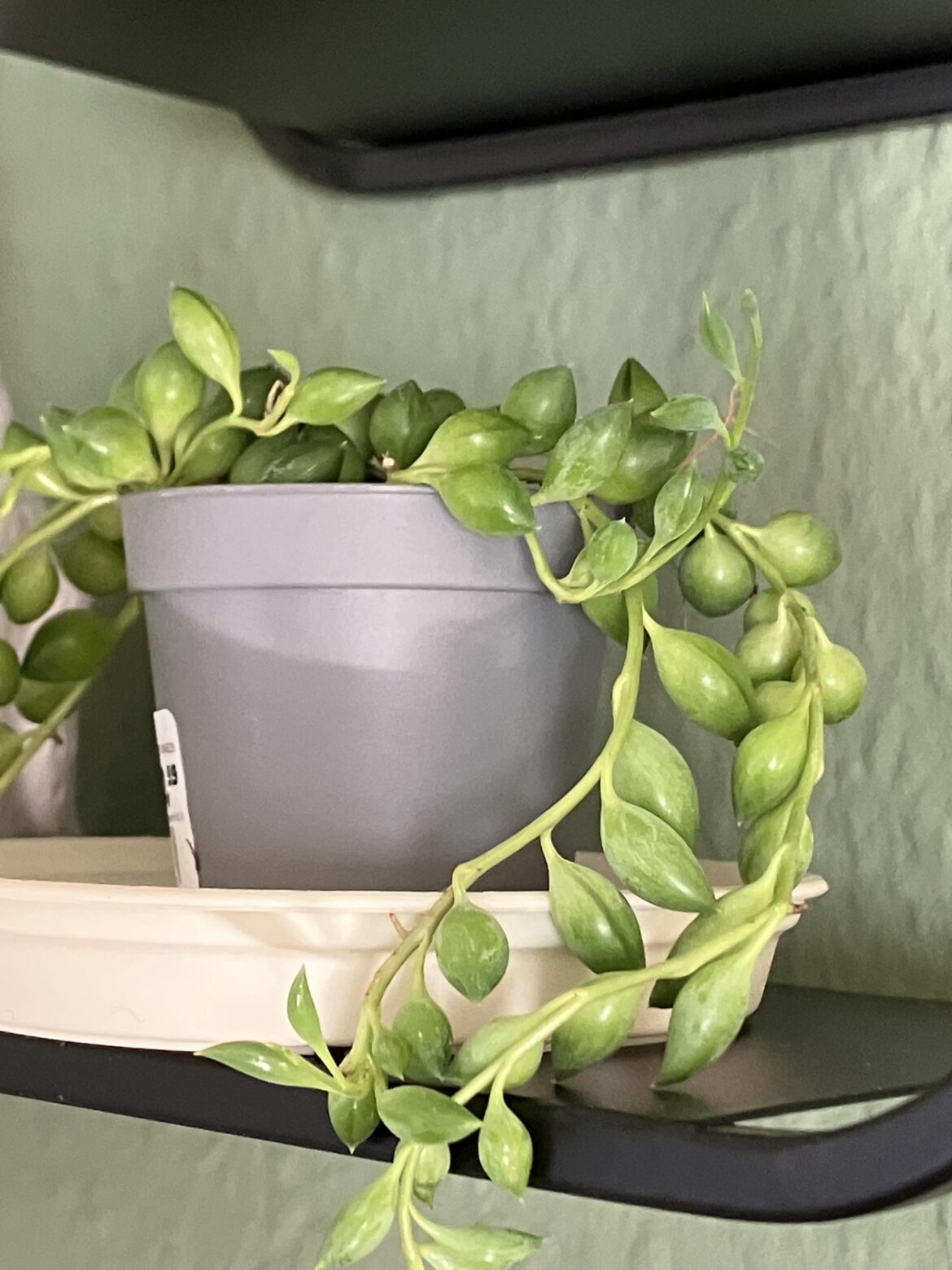 Why are the pearls shaped like this?