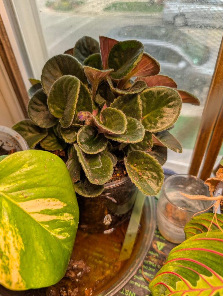 From crowded to abundant From crowded to abundant