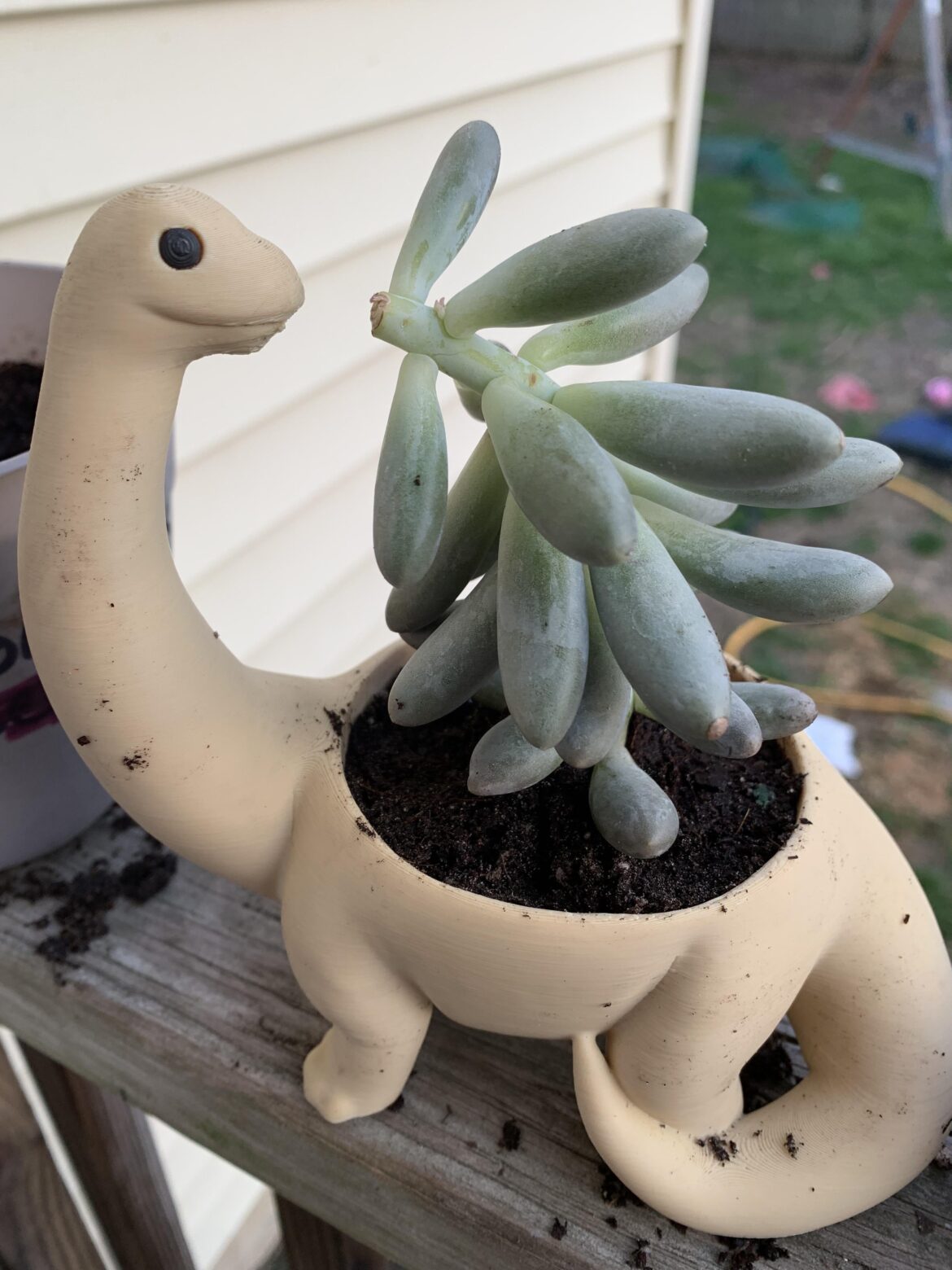 why cry over a broken plant when you can get creative instead