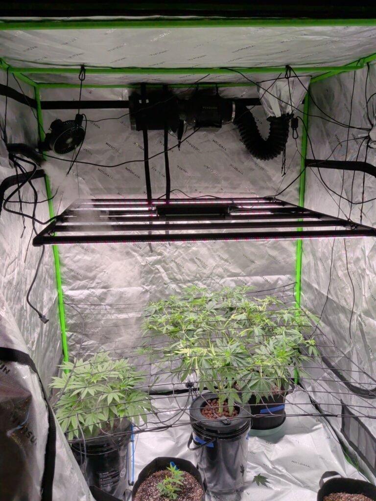 Autos or Photos? Autos or Photos?