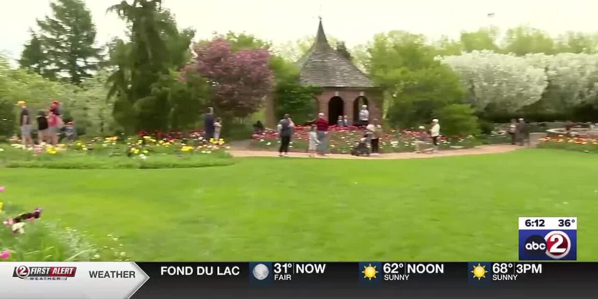 More than 350,000 spring blooms reach peak at Green Bay Botanical Garden More than 350,000 spring blooms reach peak at Green Bay Botanical Garden