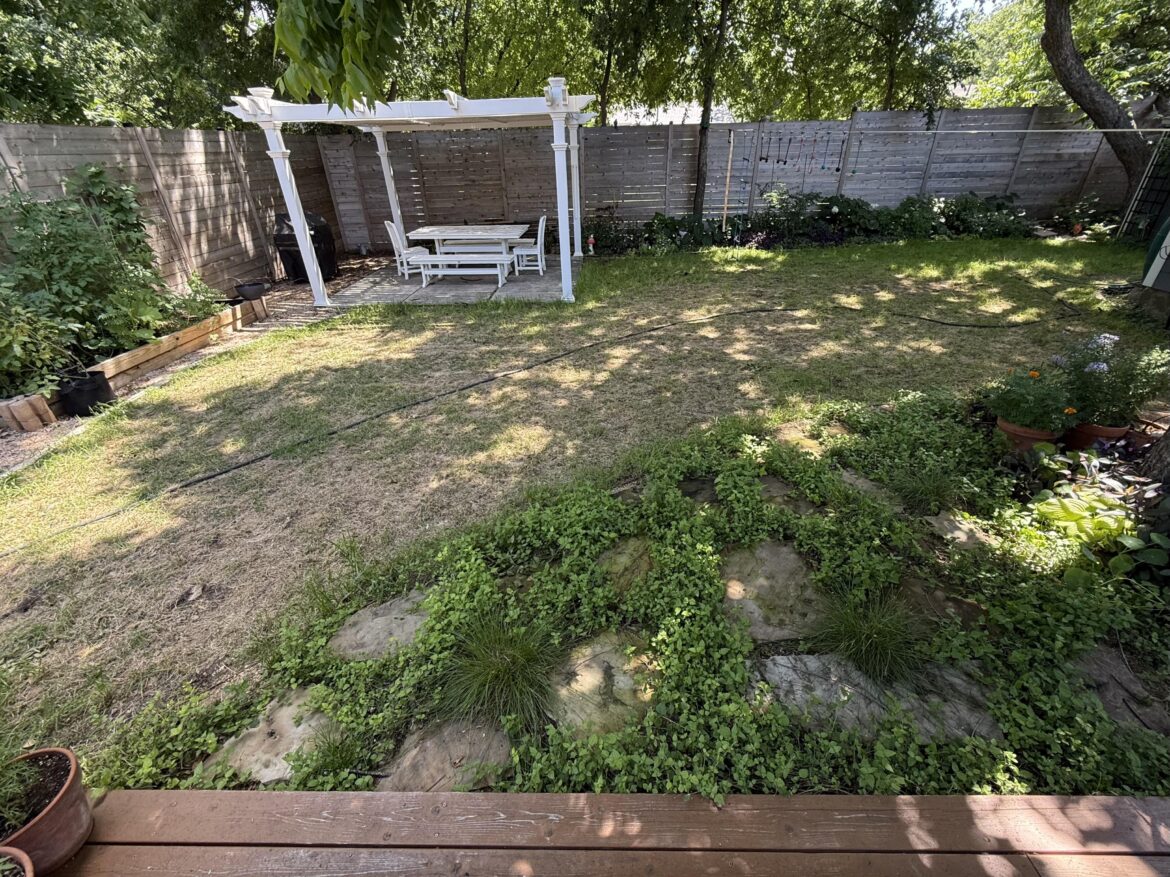 Shade tolerant lawn recs