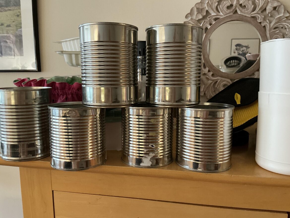 Growing inside empty food cans?