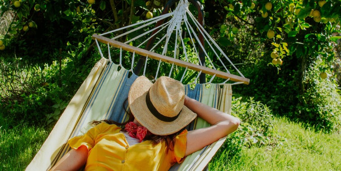 5 garden plants guaranteed to block out noisy neighbours 5 garden plants guaranteed to block out noisy neighbours