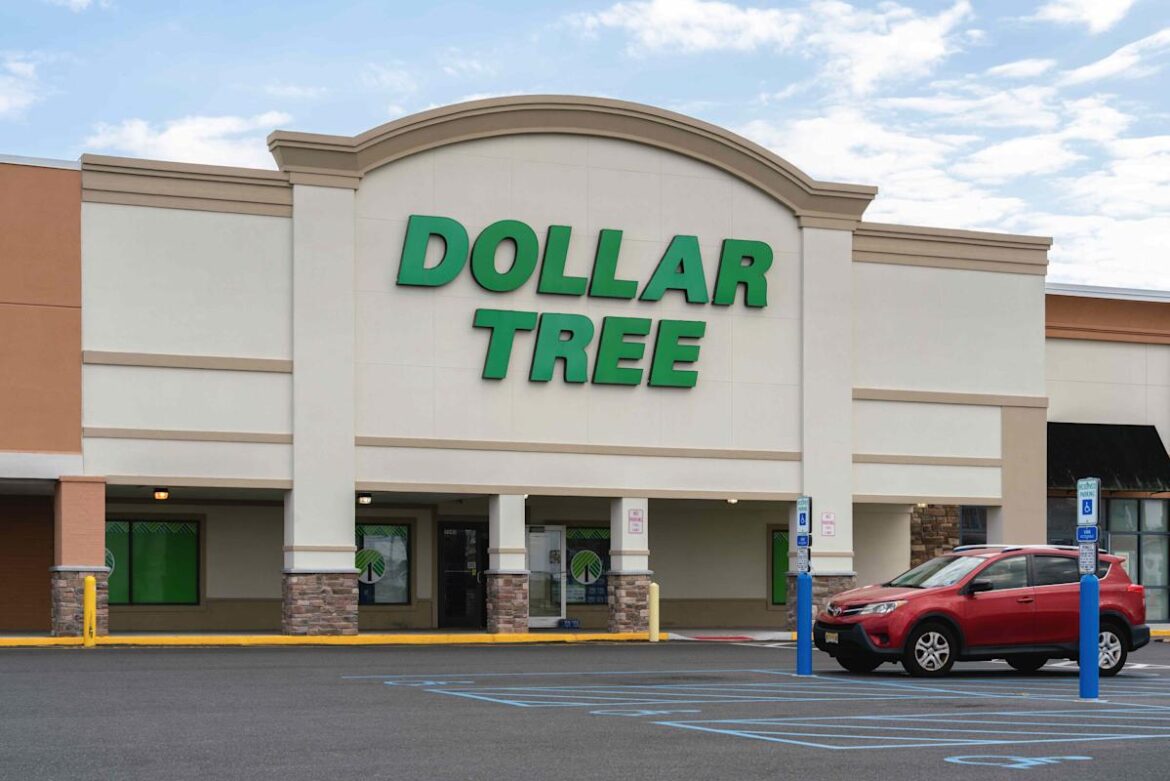 10 Dollar Tree Garden Finds That Look Way More Expensive Than They Are