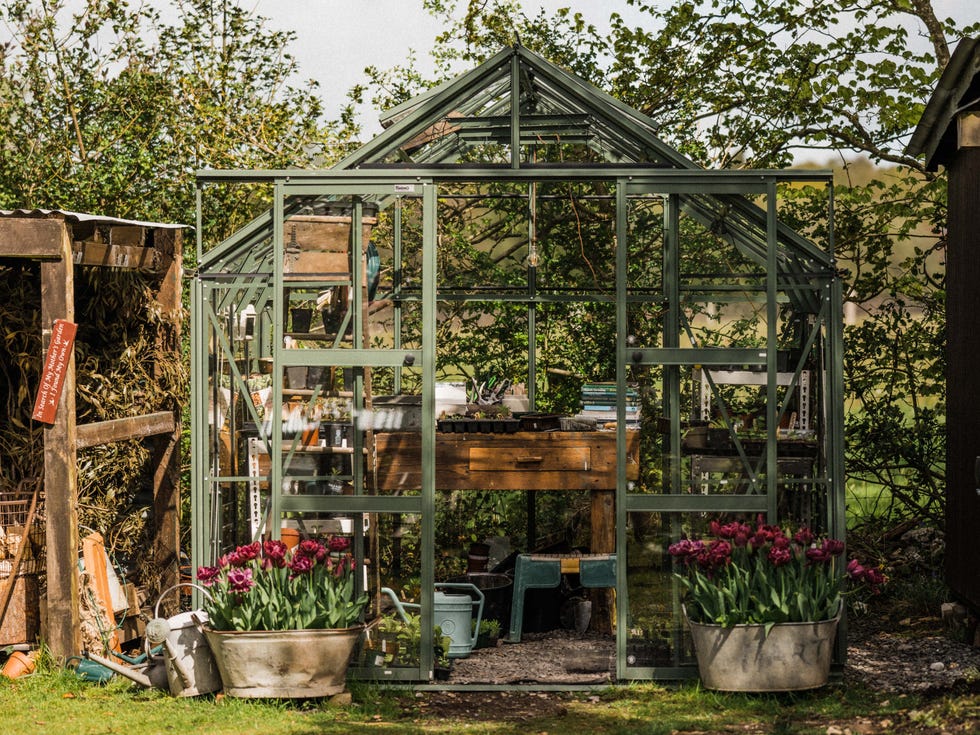 Greenhouse surrounded by gardening tools and plants.