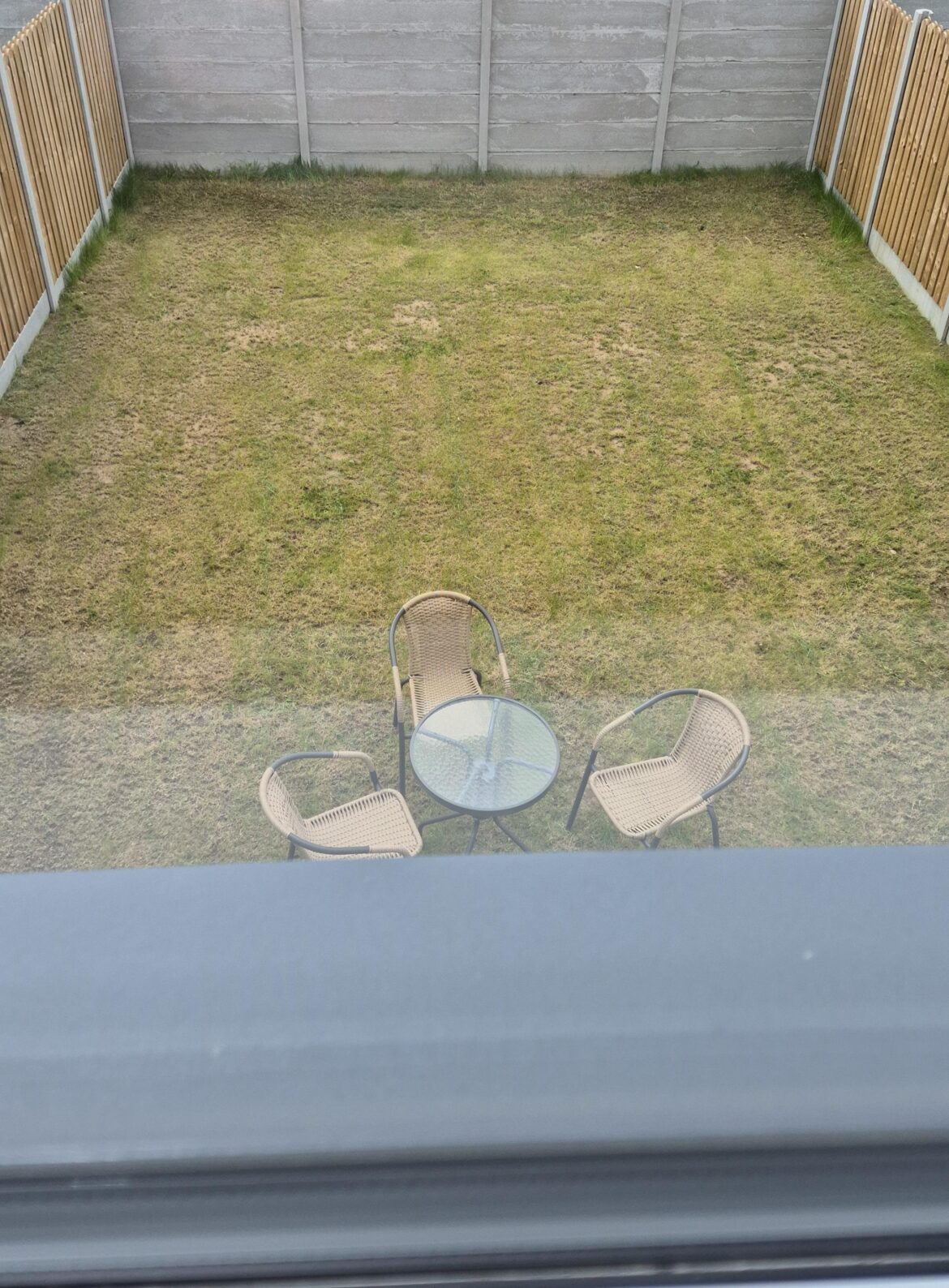 New build garden help New build garden help