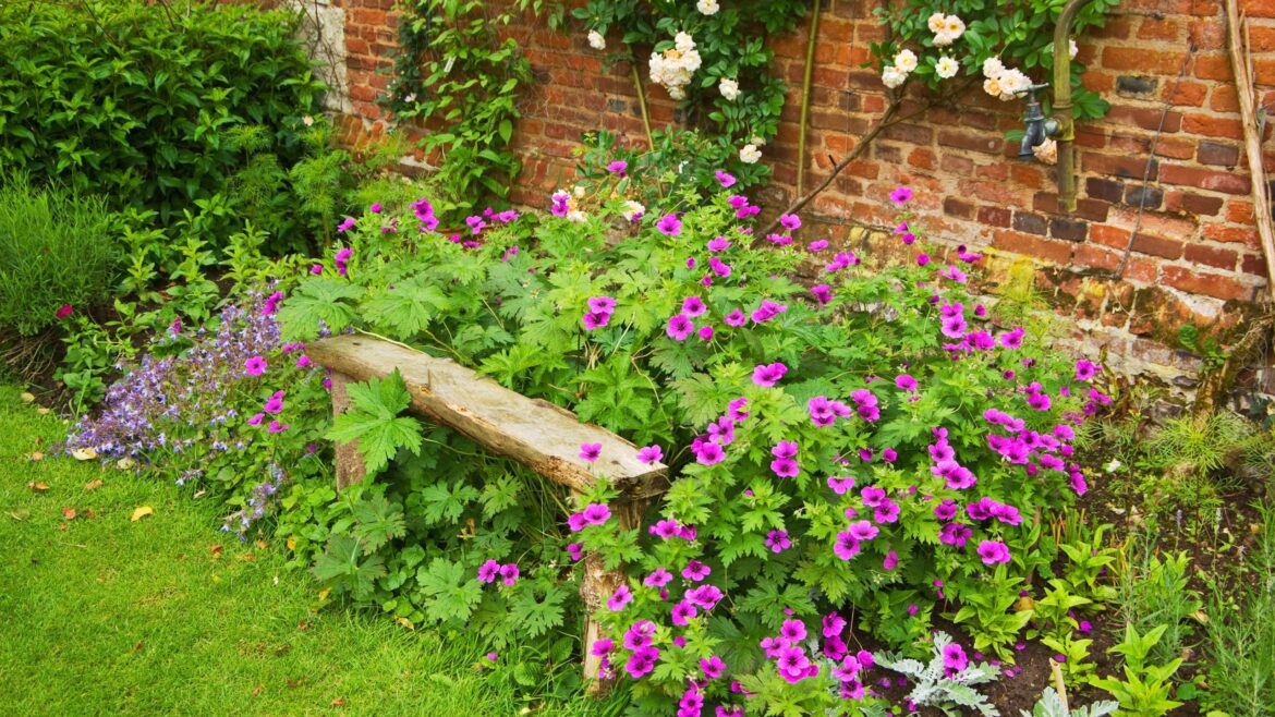 I’d never grow these destructive plants in my garden I'd never grow these destructive plants in my garden